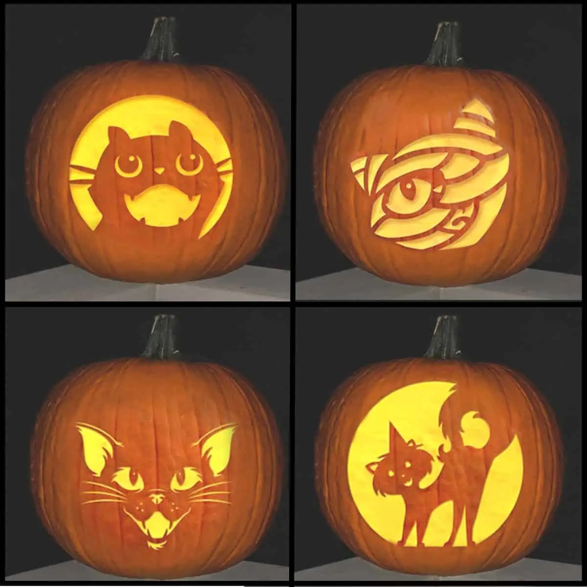 free printable pumpkin carving patterns