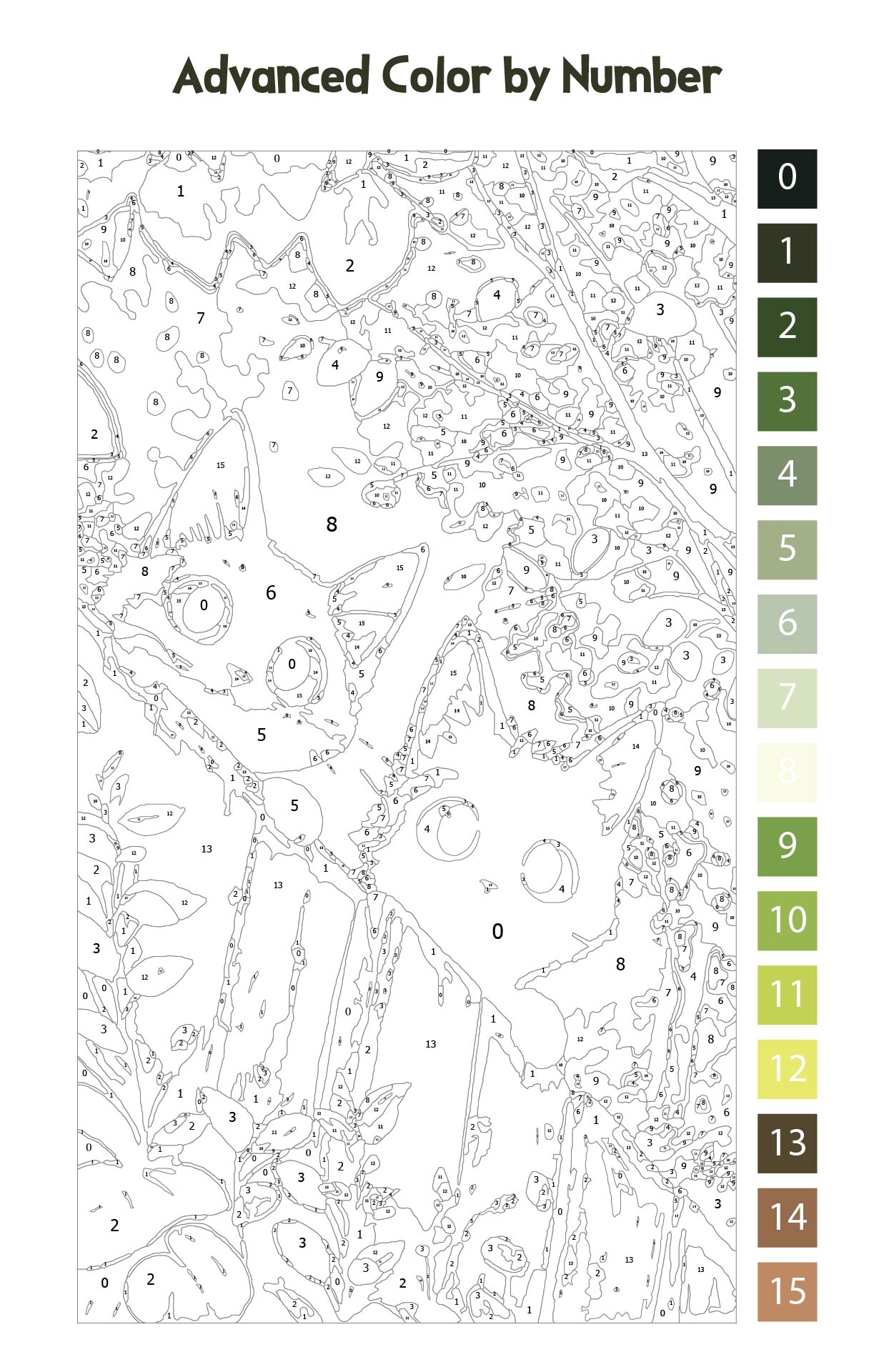 color by number printables for adults