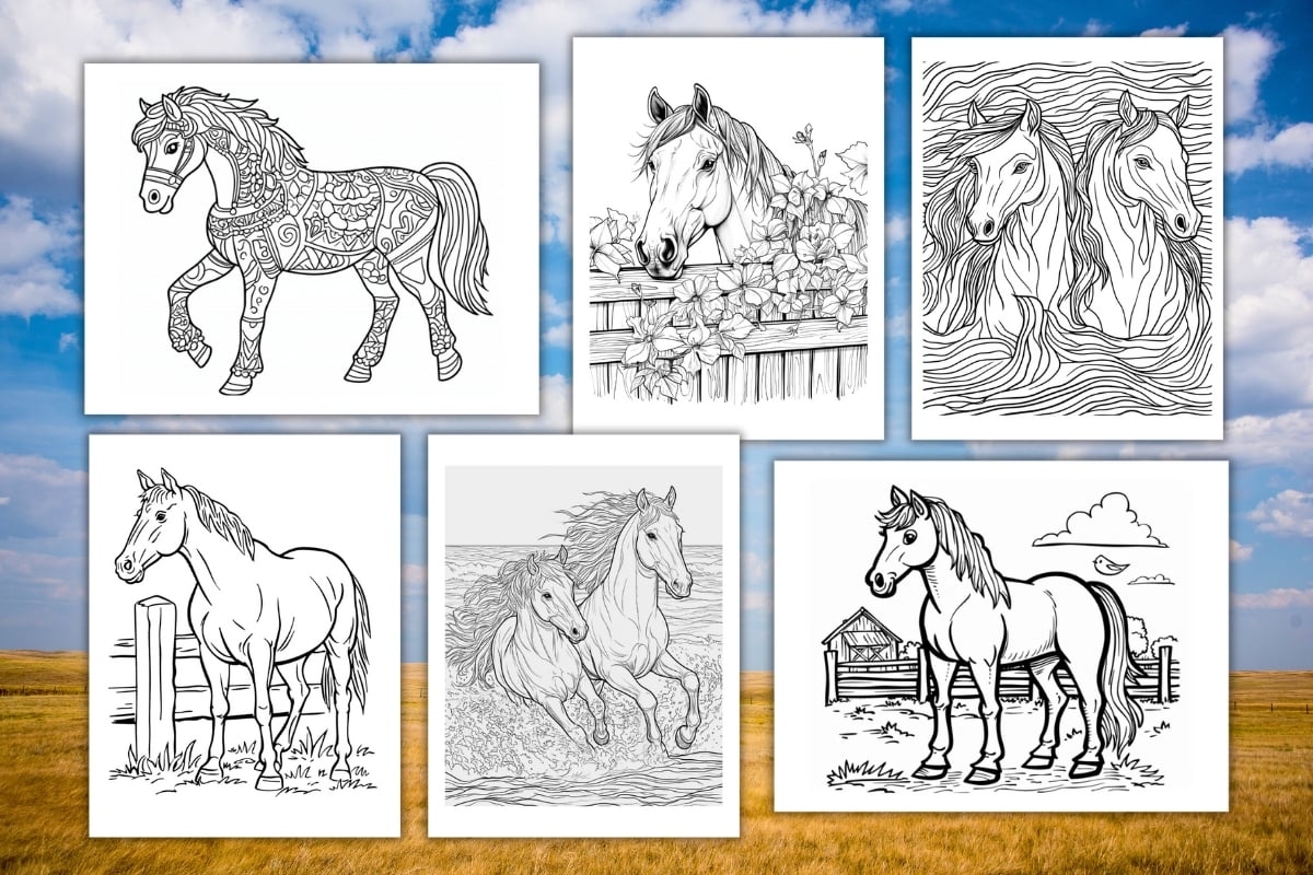 horse printable colouring pages