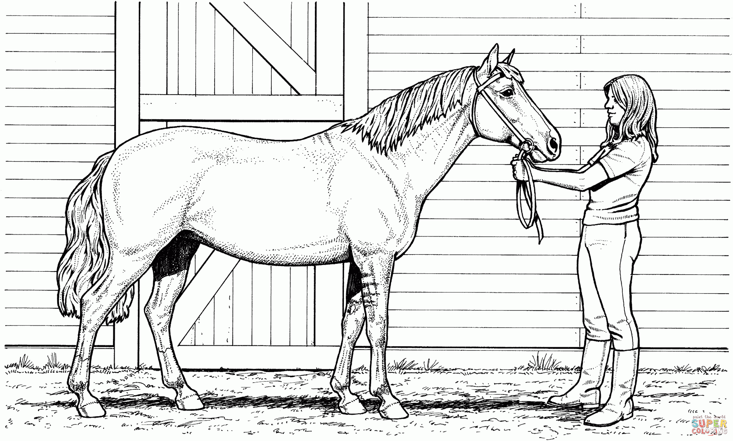 Woman And Mare Horse Coloring Page Free Printable